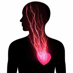 coeur cerveau